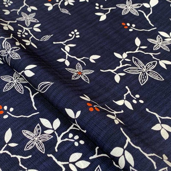 画像3: セオα (3)